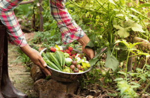 Farming and Agriculture