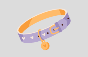 Pet Products